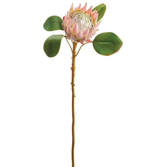 Pink & Green Queen Protea Spray